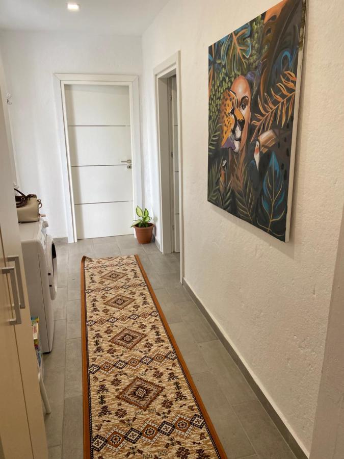 Maison Bellevue - 2 Bdrm Villa In Borsh Beach Buitenkant foto